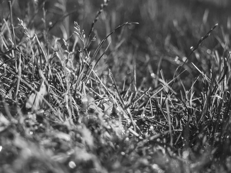 sudoku app download screenshot 5